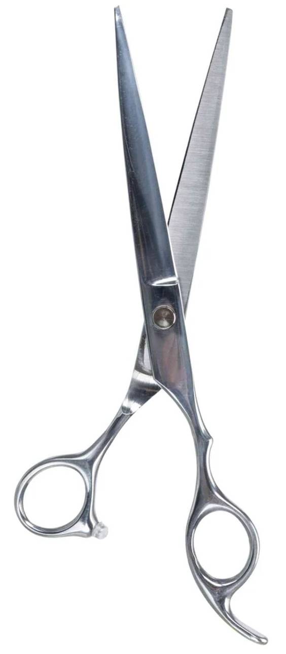Ciseaux droits professionnels de tonte 20 cm pour chien et chat