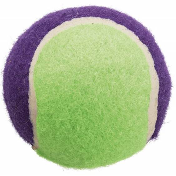 Jouet balle de tennis pour chien