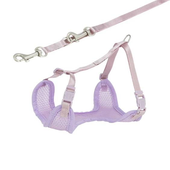 Harnais Baby mauve avec laisse pour chiot