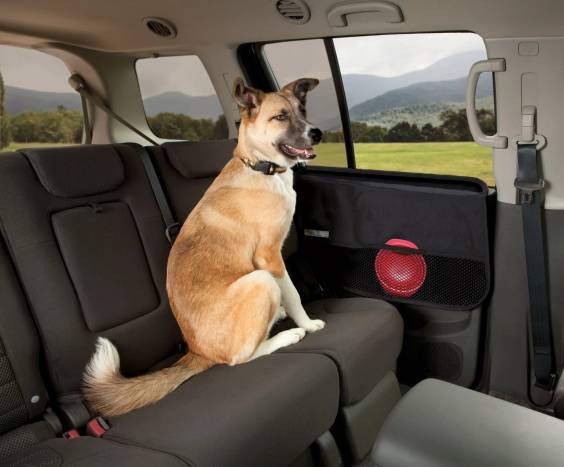 Protection de portière voiture pour chien