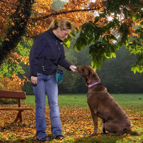 Pochette à friandises bleue pour chien