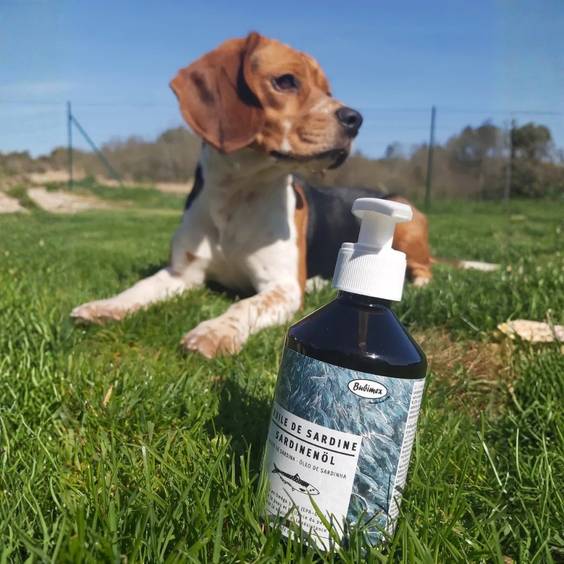 Huile de sardine pour chien et chat Bubimex