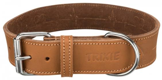 Collier en cuir gras marron pour chien