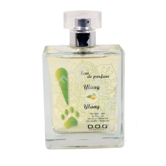 Parfum chien Ylang Ylang
