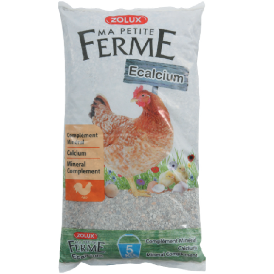 Coquillages Ecalcium pour poule