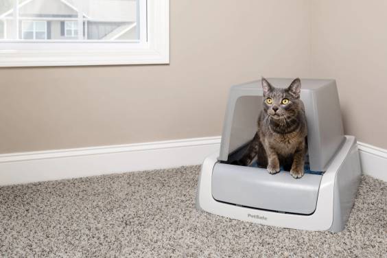 Bac à litière auto-nettoyante ScoopFree avec couvercle PetSafe pour Chat
