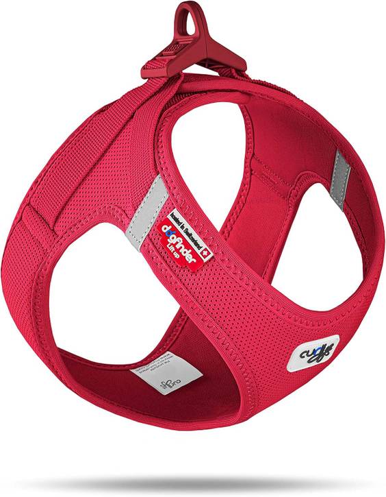 Curli Harnais pour bouledogue rouge pour Chien