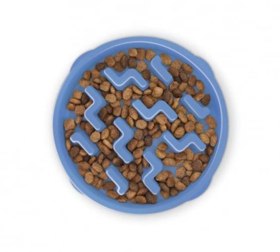 Gamelle anti-glouton bleue pour chien