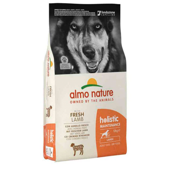 Croquettes chien Holistic Large Adult Agneau