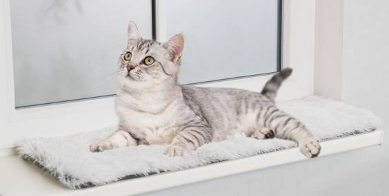 Tapis pour chat rebord fenêtre anti-stress 90 x 28 cm