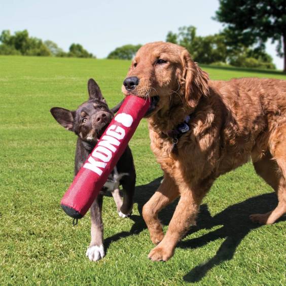 KONG Jouet Signature Stick pour Chien
