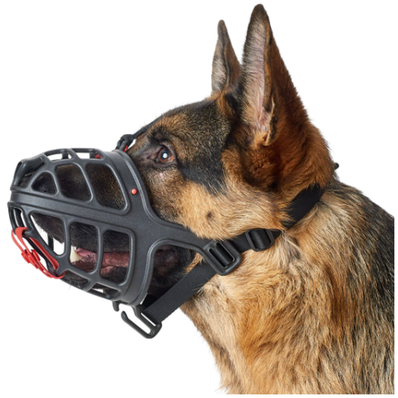 Muselière pour chien Albury Hunter