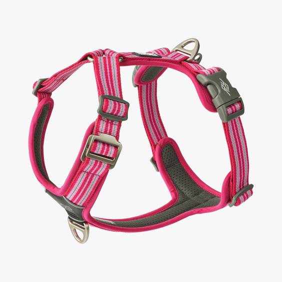 Harnais Walk Air confort ROSE DOG Copenhagen pour chien
