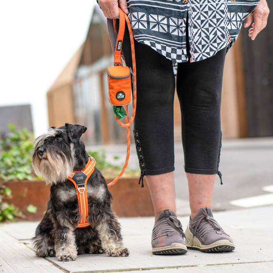 Harnais Walk Air confort orange DOG Copenhagen pour chien