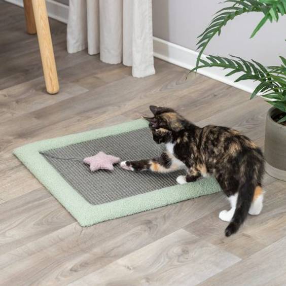 Tapis griffoir pour chaton avec jouet
