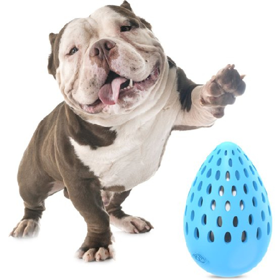 Hami Form Jouet pour chien indestructible en forme d’œuf bruit bouteille taille L
