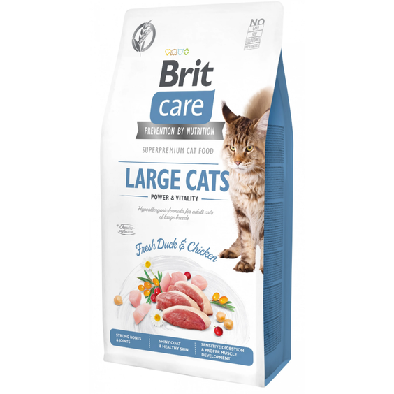 Croquettes pour Maine Coon haute teneur en protéines