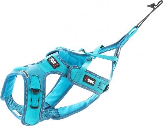 Harnais traction chien canicross PRO x-back phoenix