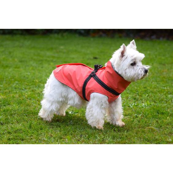 Imperméable pour chien avec harnais intégré Tom corail