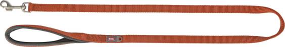 Laisse Premium pour chien Rouille
