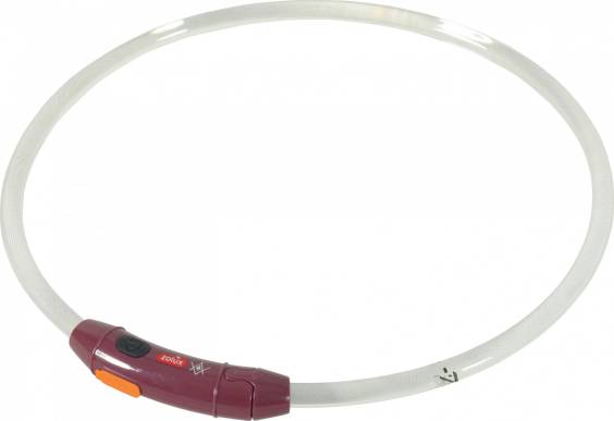 Collier lumineux pour chiens à poils courts rechargeable et ajustable