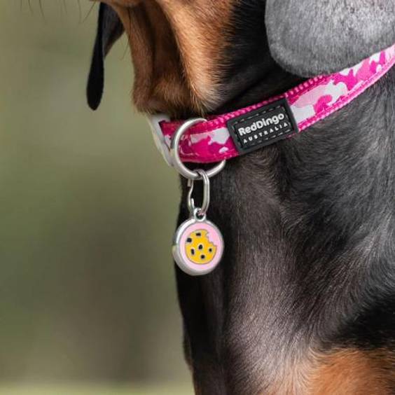 Médaille rose motif Cookie pour chien et chat