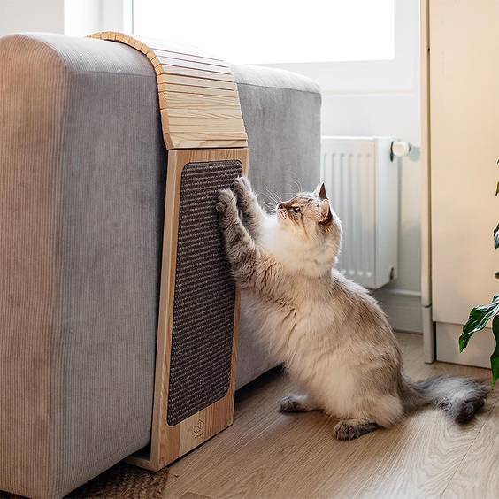 Griffoir pour canapé Henny pour chat
