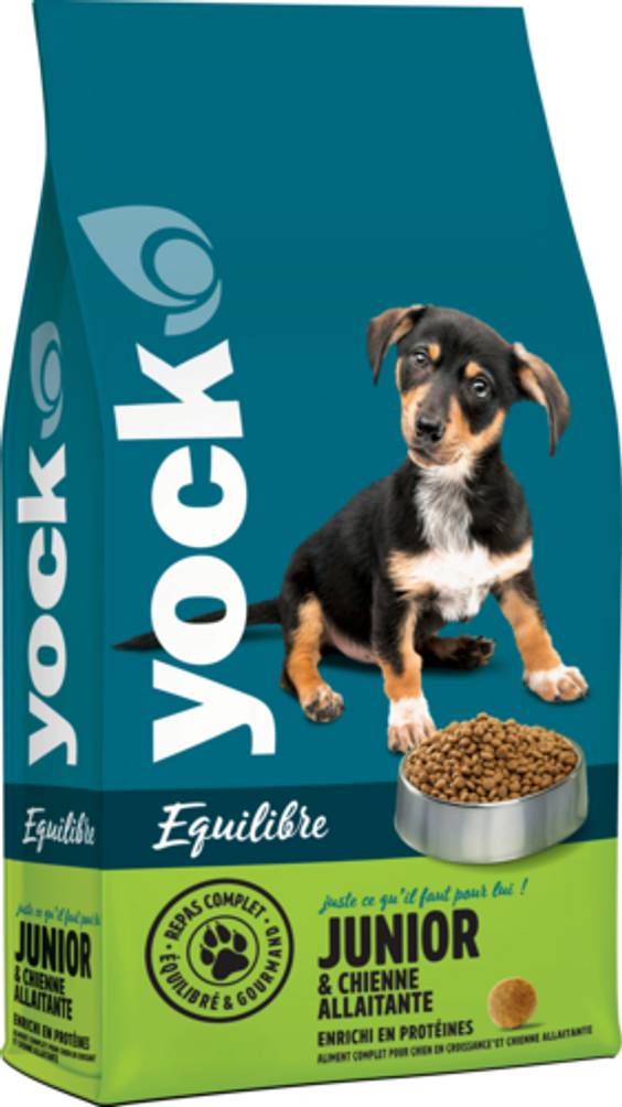 YOCK Croquettes Junior Équilibre pour Chien