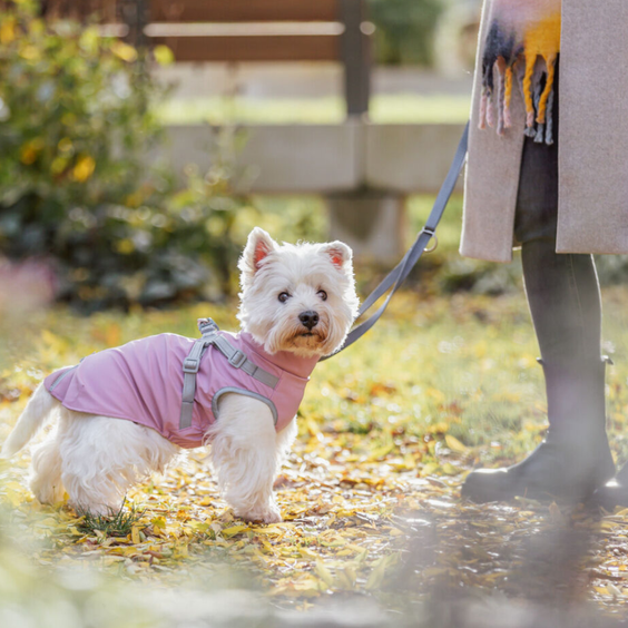 Manteau imperméable pour chien Pontis Rain avec harnais intégré