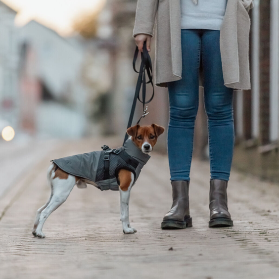 Manteau harnais intégré pour chien Pontis Reflect gris