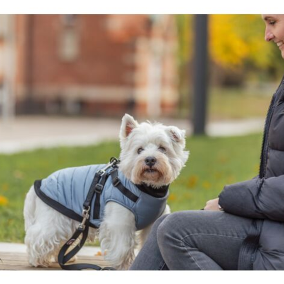 Manteau pour chien à harnais intégré bleu gris