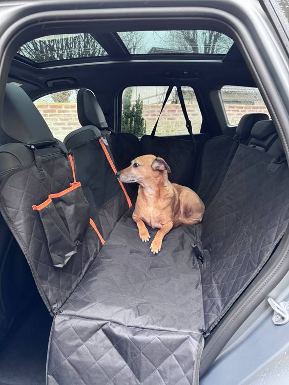 Protection voiture premium, banquette arrière intégrale – 137×147 cm Mon Ami Luki pour Chien et Chat