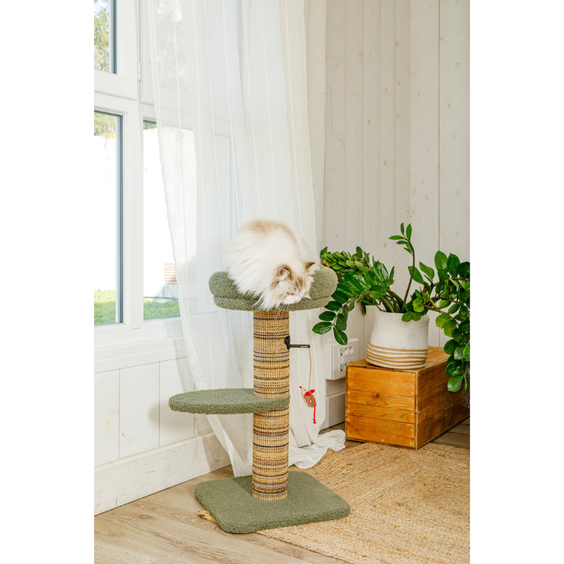 Arbre à chat griffoir en bois FSC 70 cm