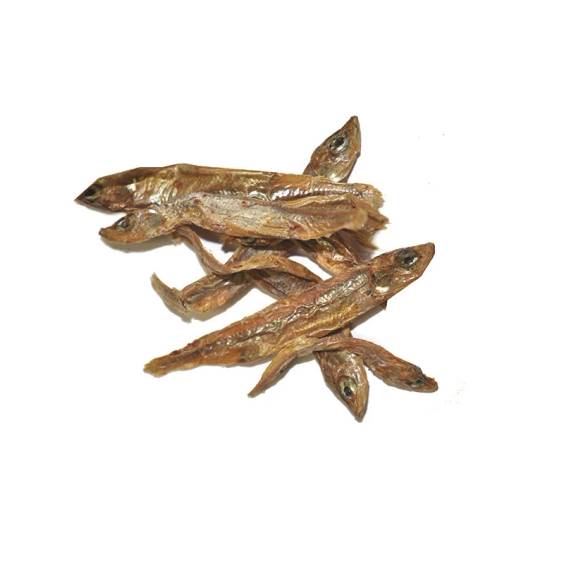 Les Filous - Friandises naturelles aux poissons séchés pour chat