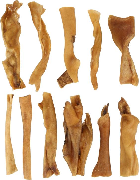 TerraSnacks Nature peau de porc séchée à mâcher pour chien