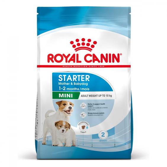 ROYAL CANIN Croquettes Mini Starter Mother & Babydog