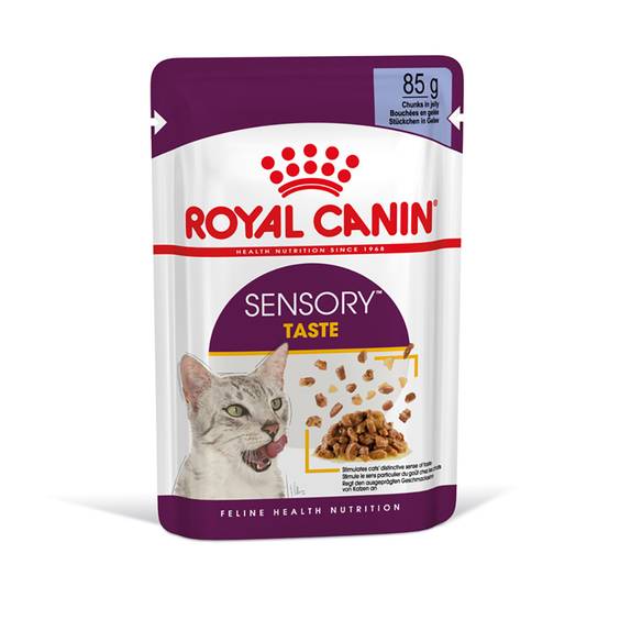 ROYAL CANIN Sensory Taste pâtée en gelée pour chat