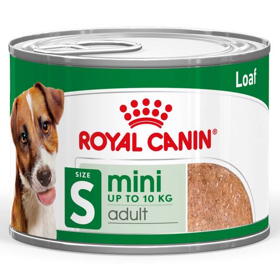 ROYAL CANIN Mini Adult en mousse