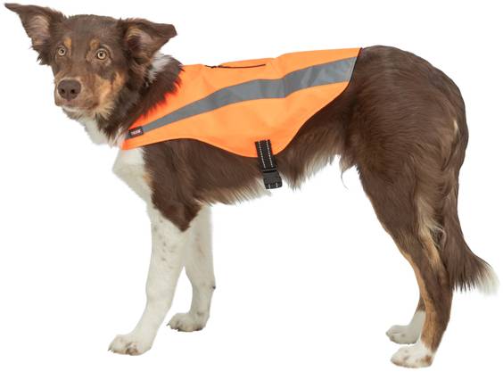 Gilet chien sécurité orange fluo réfléchissant Trixie