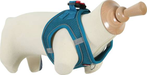 Harnais chien Zolux Mesh turquoise