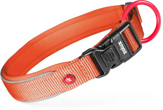 Collier chien nylon Premium Zolux Rouille