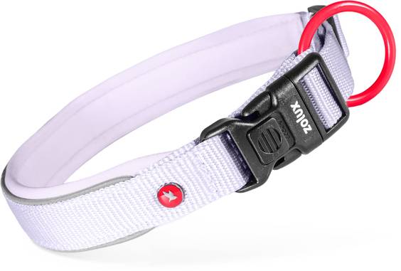 Collier chien nylon Premium Zolux Lilas