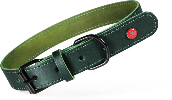 Collier chien Zolux Cuir classique vert