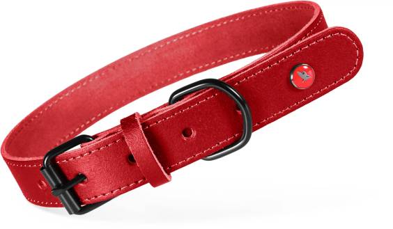 Collier chien Zolux Cuir classique grenat