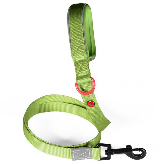 Laisse chien Premium Zolux kaki