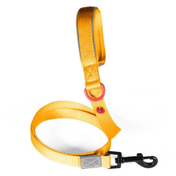 Laisse chien Premium Zolux jaune