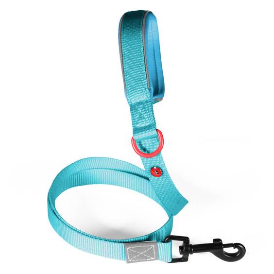 Laisse chien Premium Zolux turquoise