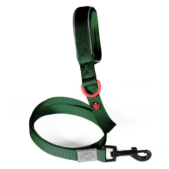 Laisse chien Premium Zolux vert sapin
