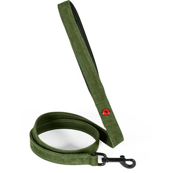 Laisse chien Zolux cuir huilé vert poignée néoprène