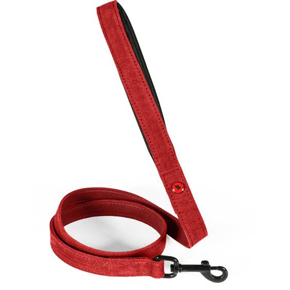 Laisse chien cuir huilé néoprène rouge Zolux